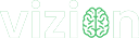 Vizion1